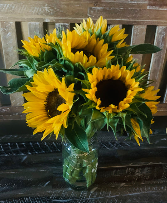 Sunflowers- Avimore